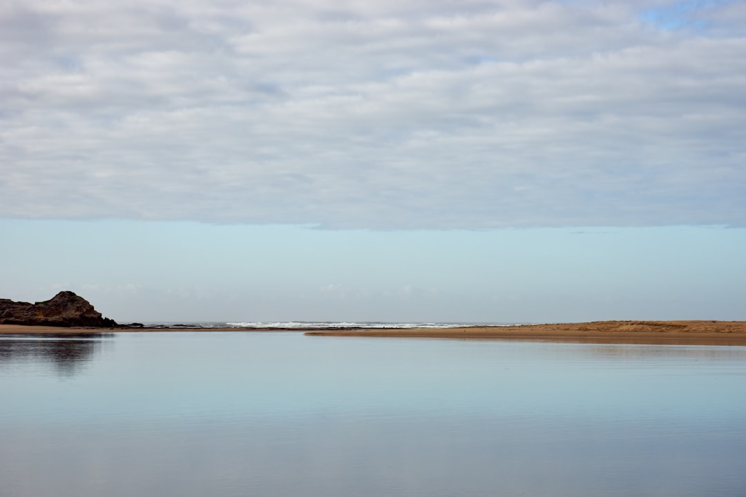 brown wooden stick on body of water under white clouds during daytime