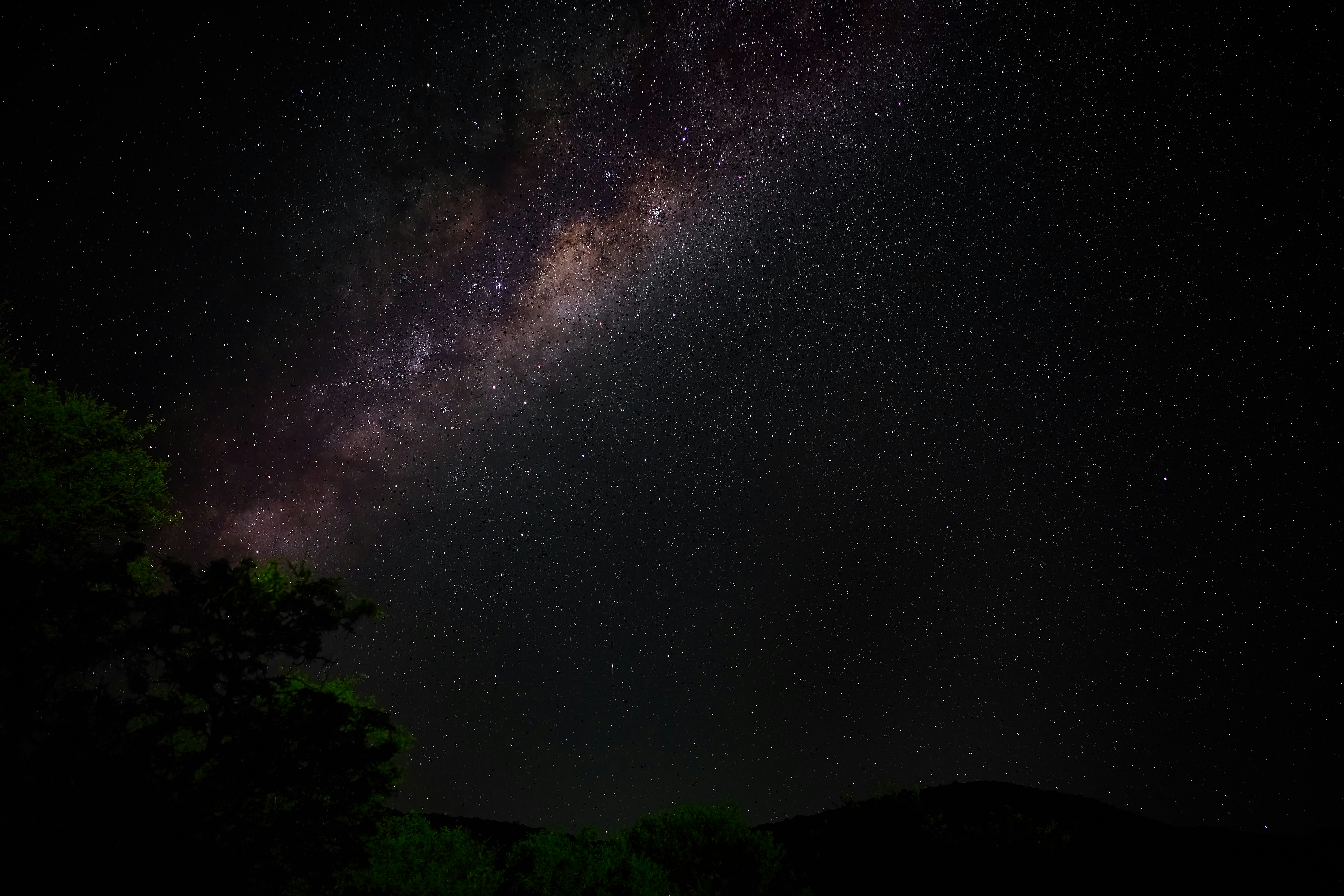 Photo by wolfgang_hasselmann