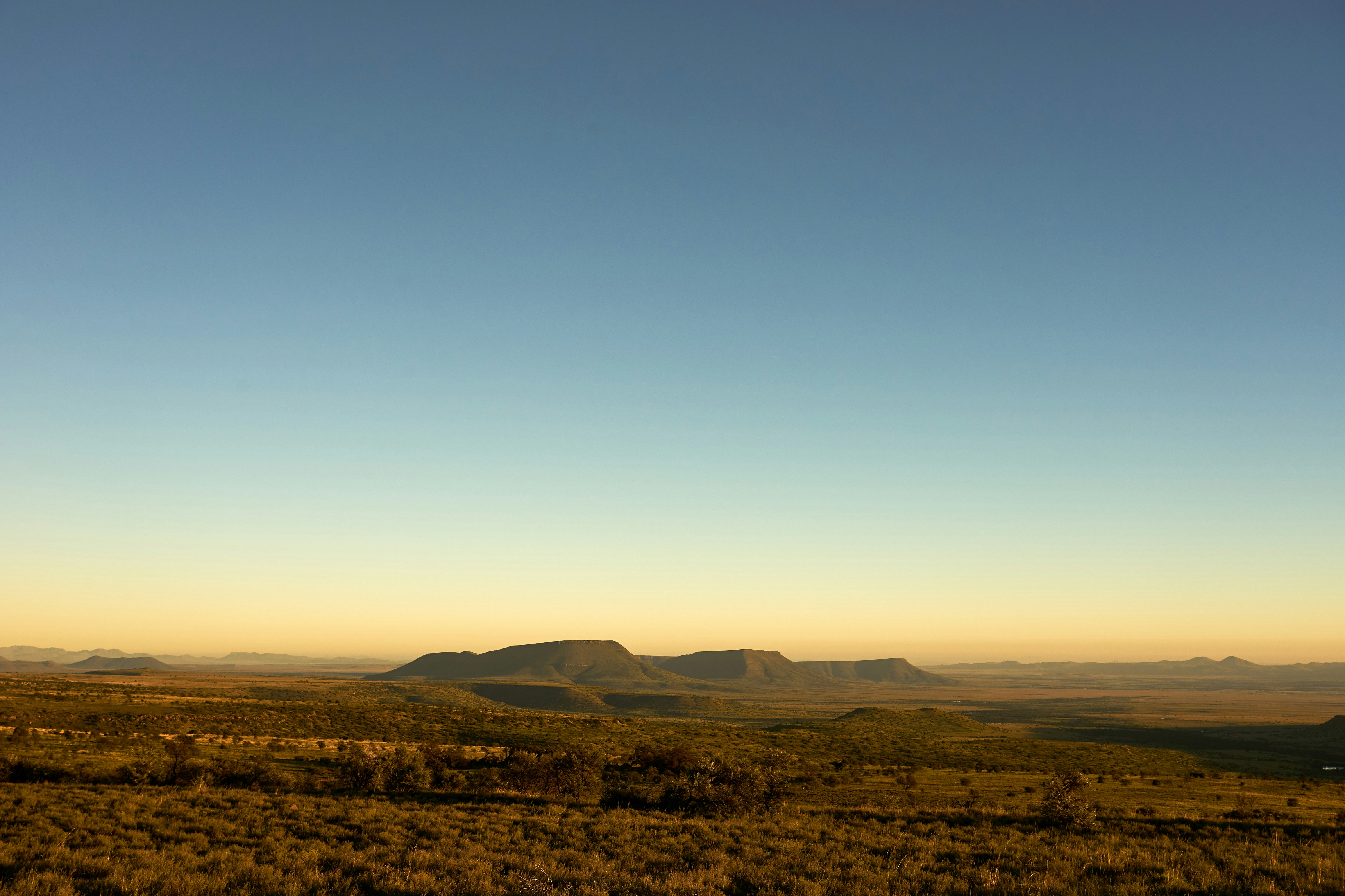 Photo by wolfgang_hasselmann