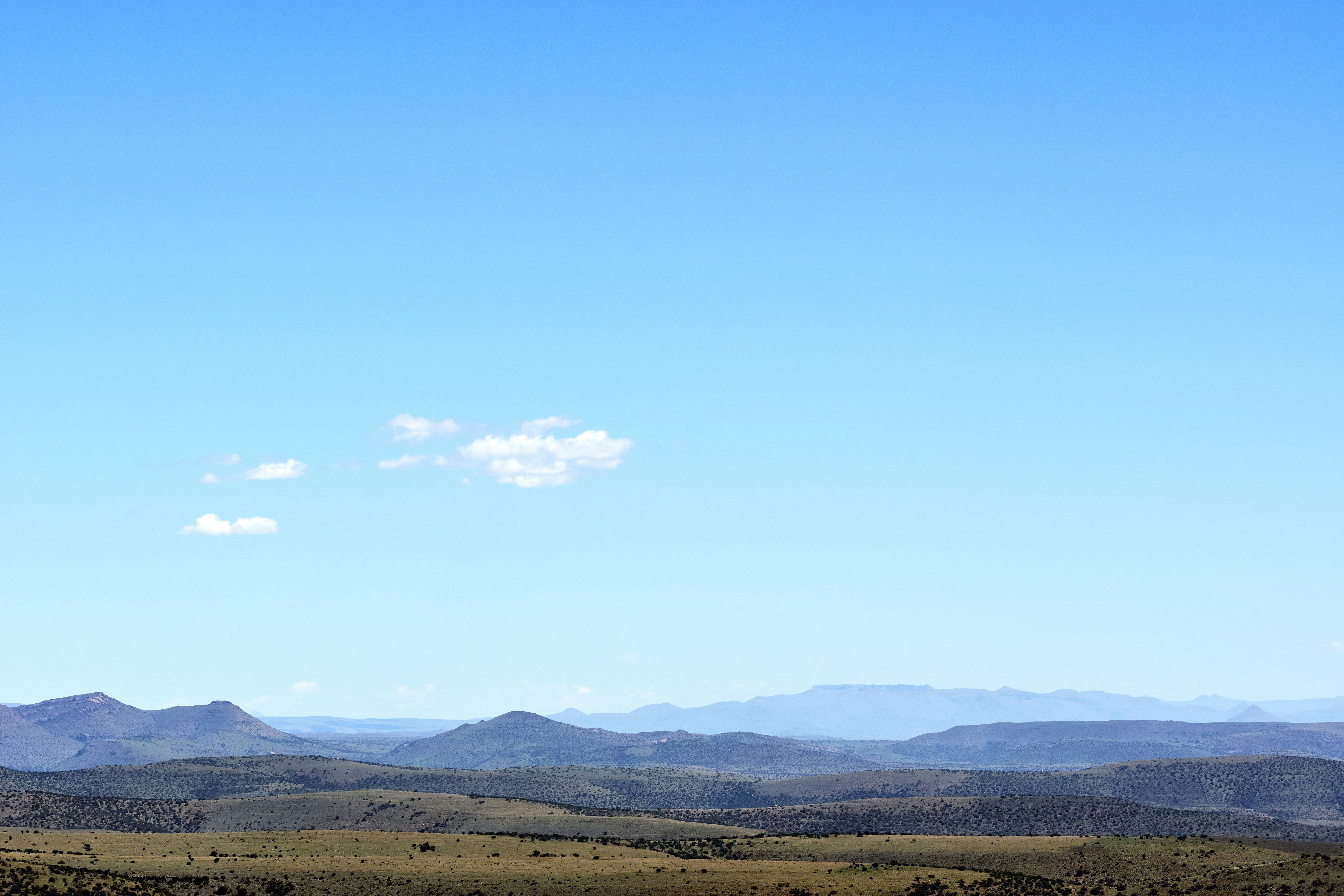 Photo by wolfgang_hasselmann