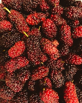 red and green fruit lot