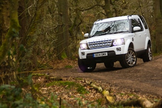 A panoramic view of a forest trail winding through tall trees with a 4x4 SUV navigating the path.