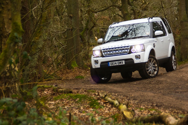 A panoramic view of a forest trail winding through tall trees with a 4x4 SUV navigating the path.