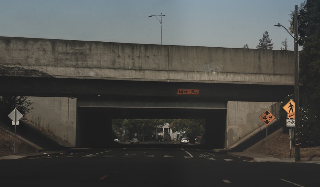 black car on road during daytime