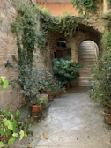 Charming courtyard with vibrant bougainvillea and rustic stone walls.