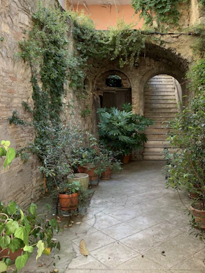 Charming courtyard with vibrant plants and rustic stone walls.