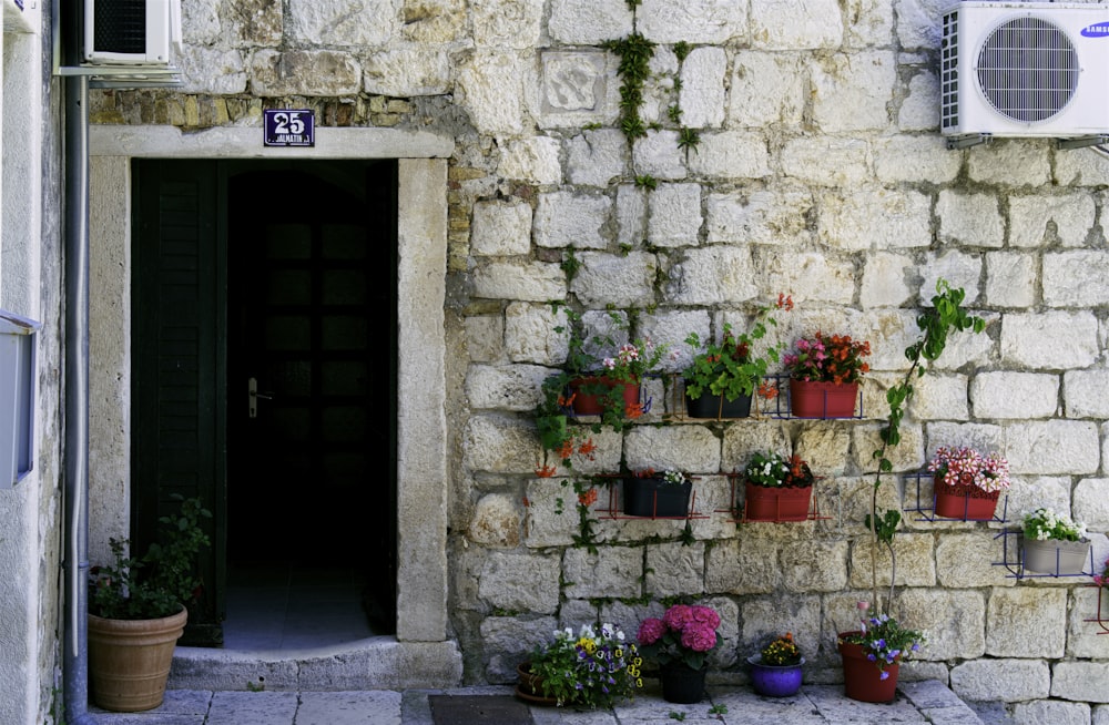 green wooden door with red flowers