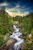 green pine trees near river under blue sky during daytime