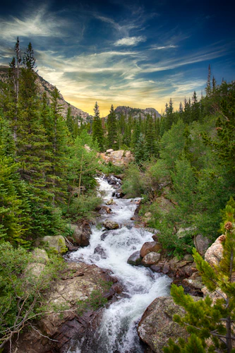 A Colorado mountain stream tumbling through pines and pocket water