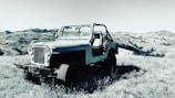 A vintage jeep is parked in a grassy field with gently rolling hills in the background under a clear sky. The vehicle is open-topped, and the driver's side door is open. The landscape is expansive, and the scene conveys a sense of adventure and exploration.