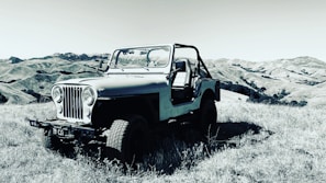 A vintage jeep is parked in a grassy field with gently rolling hills in the background under a clear sky. The vehicle is open-topped, and the driver's side door is open. The landscape is expansive, and the scene conveys a sense of adventure and exploration.