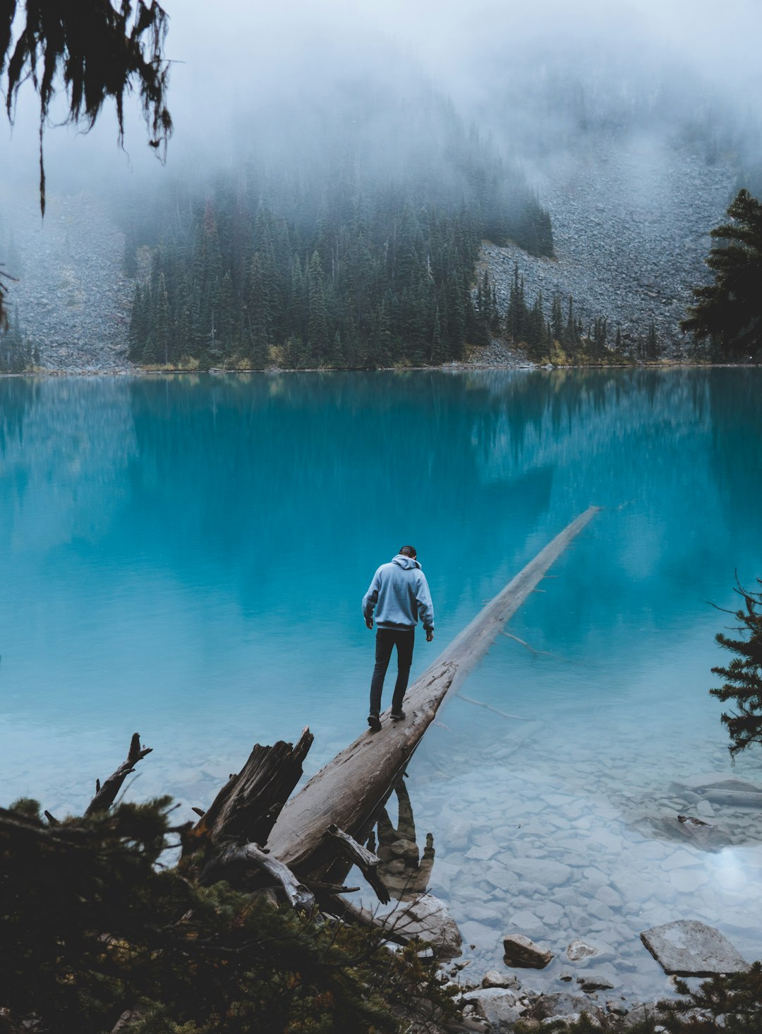 man in blue jacket and black pants standing on brown log in front of body of on near on with