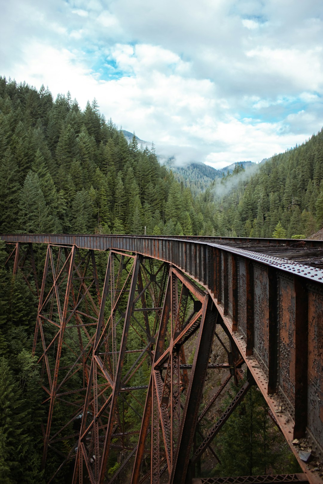 brown wooden bridge over green trees during daytime