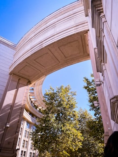 A large, curved architectural structure links the tops of two buildings, framing a view of tall trees below. The buildings feature light-colored stone and numerous windows. The sky is clear and bright blue, casting shadows and highlighting the textures of the structure.