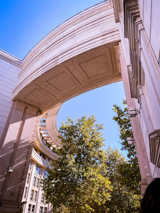 A large, curved architectural structure links the tops of two buildings, framing a view of tall trees below. The buildings feature light-colored stone and numerous windows. The sky is clear and bright blue, casting shadows and highlighting the textures of the structure.