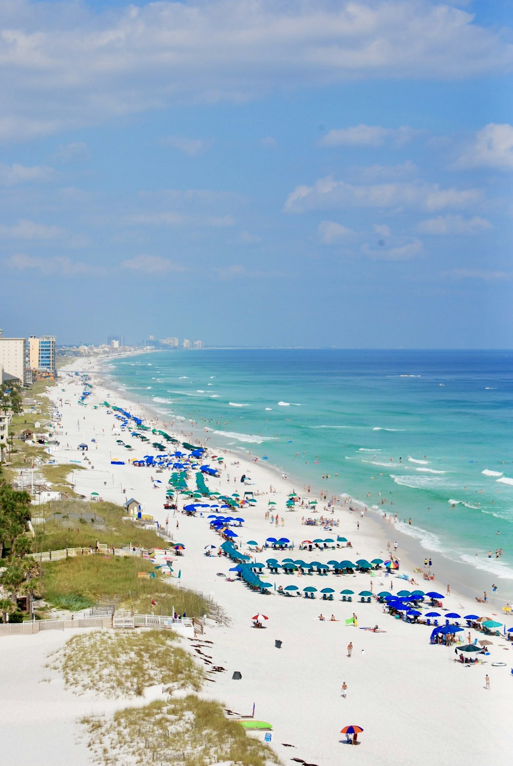 people on beach during daytime