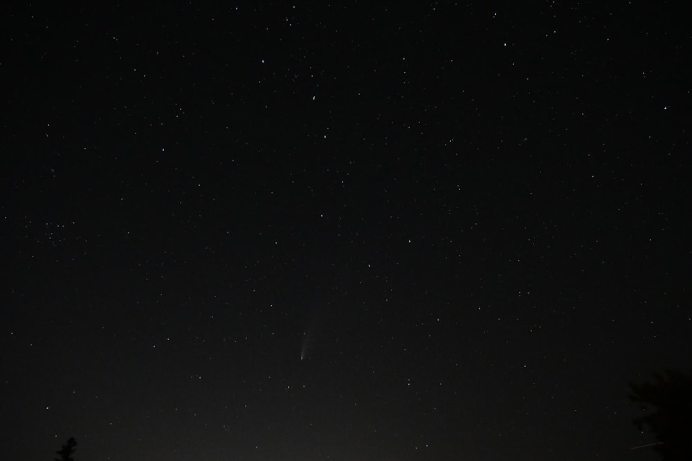 black and white stars during night time