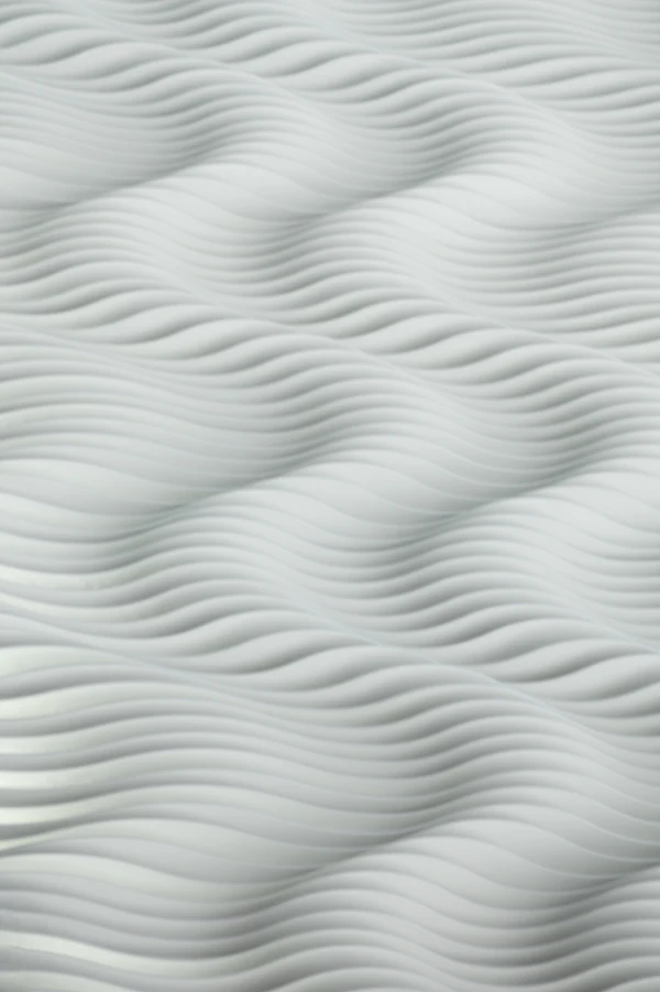 Foam roll 2