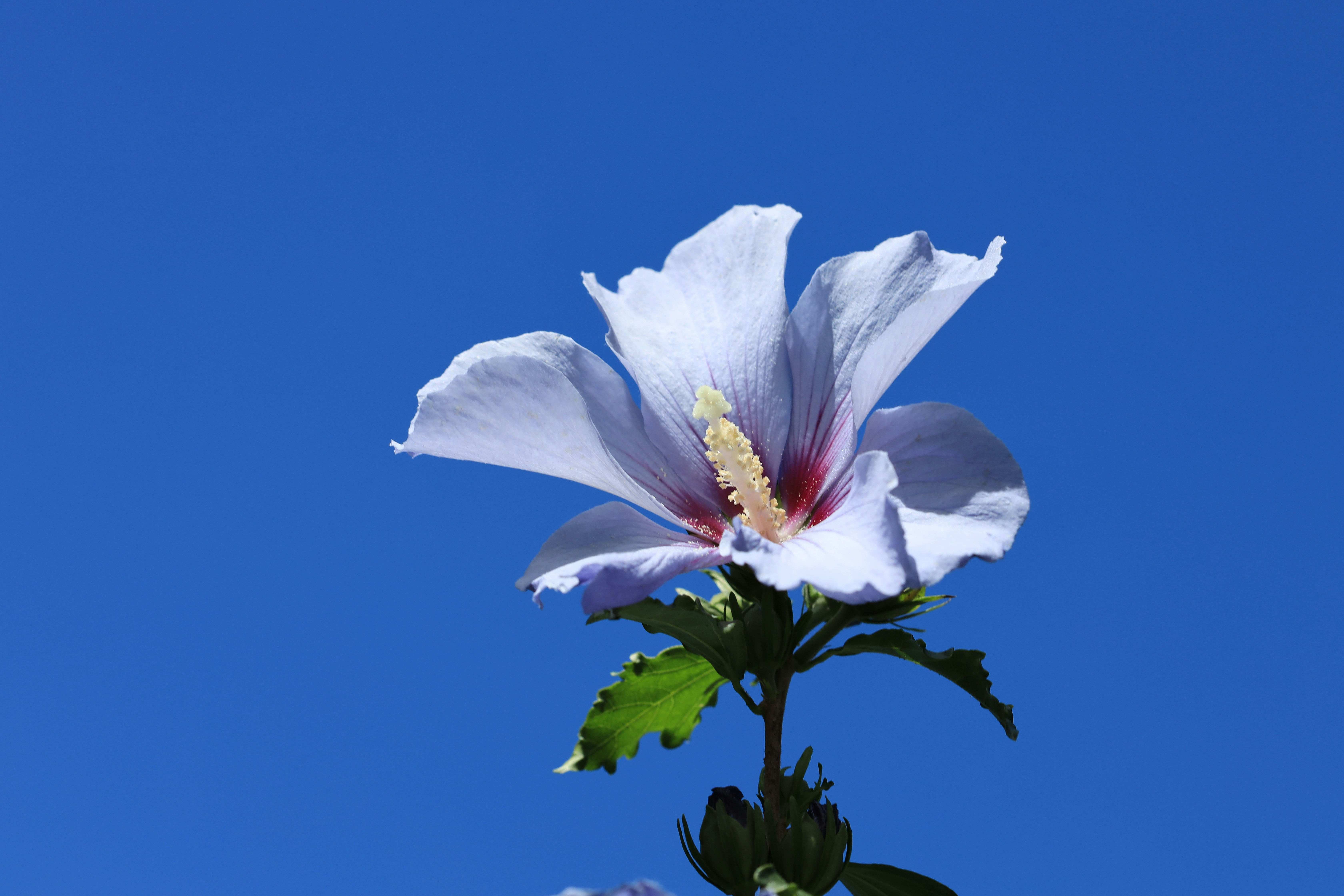 Photo by richardworks