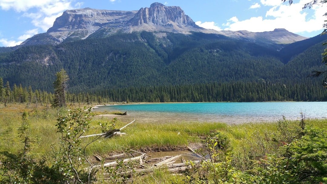 Nature reserve photo spot Emerald Lake Siffleur River