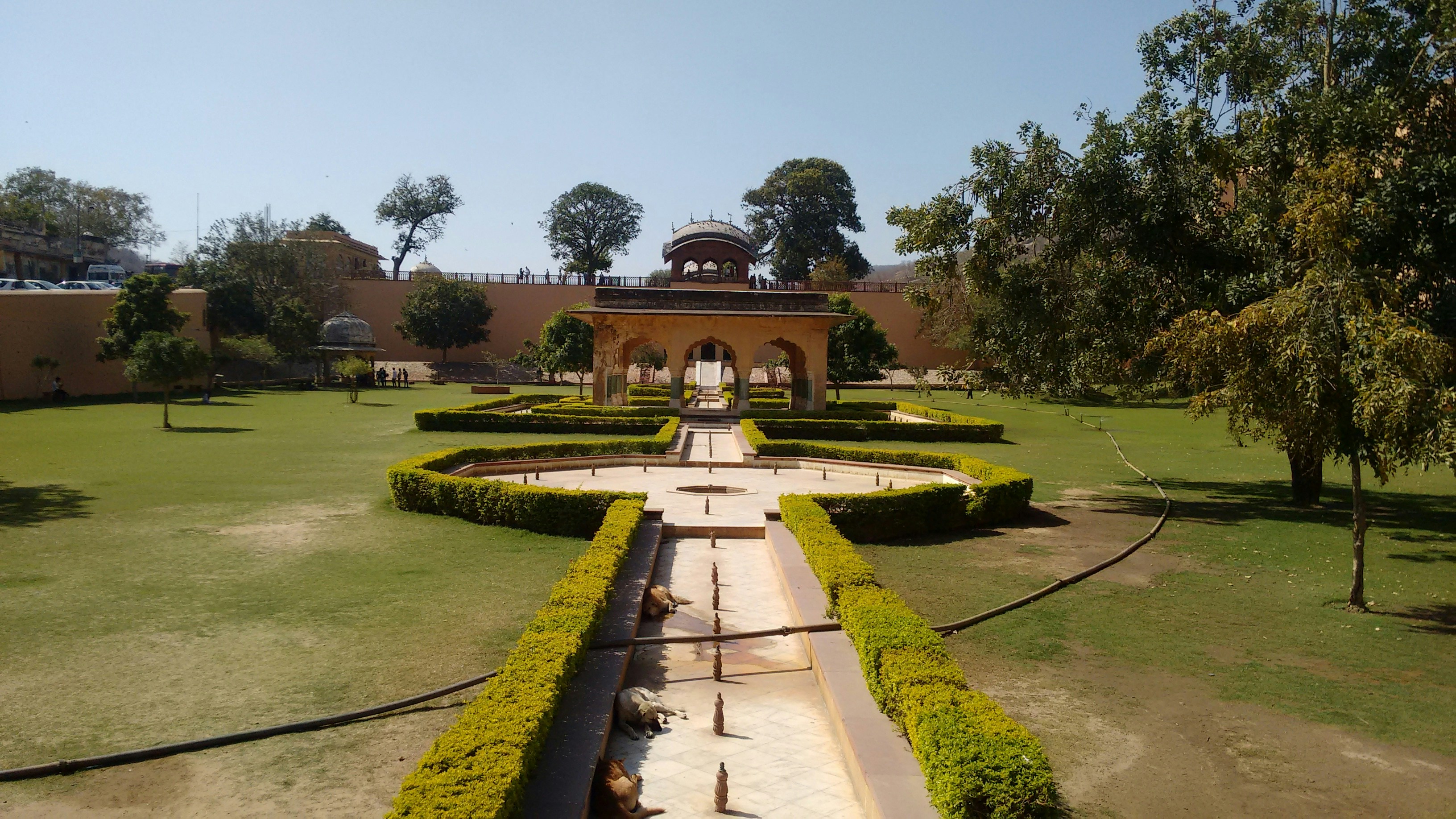Omheinde tuin bij bungalow geschikt voor honden