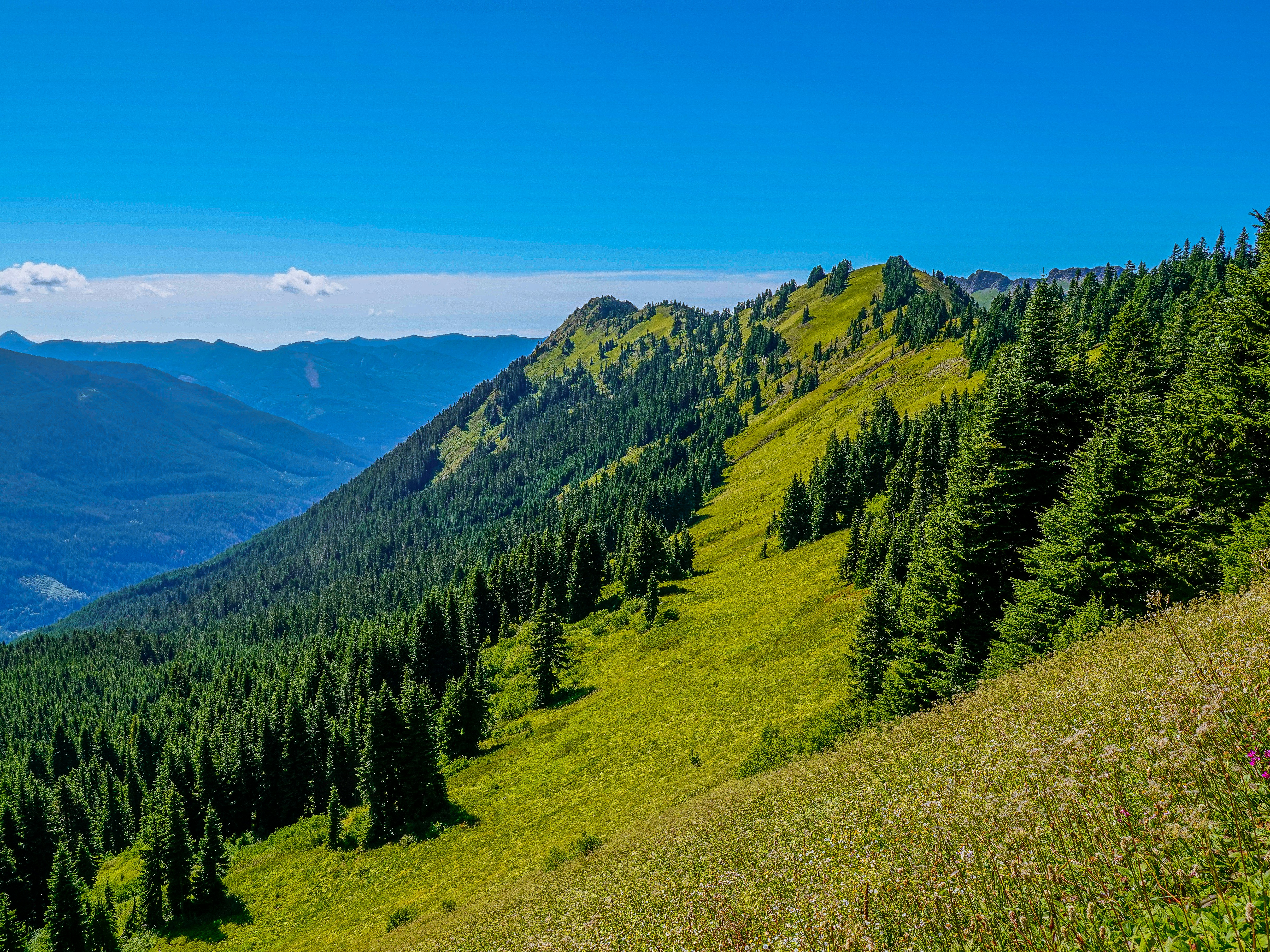 Photo by pavlpolo_official