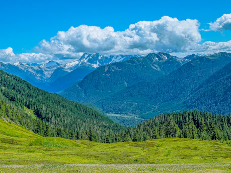 green trees on green grass field near mountain under white clouds and blue sky during daytime