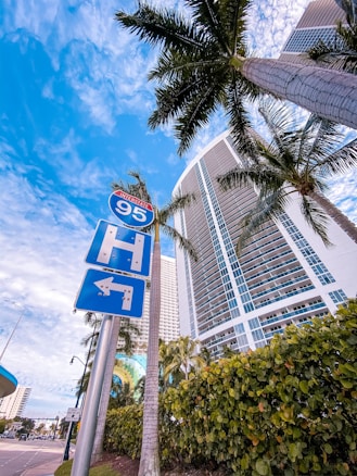A view of a tall modern building with numerous balconies, surrounded by palm trees under a bright blue sky. Interstate 95 road signs are visible in the foreground, and there's a hedge of green foliage lining the sidewalk.