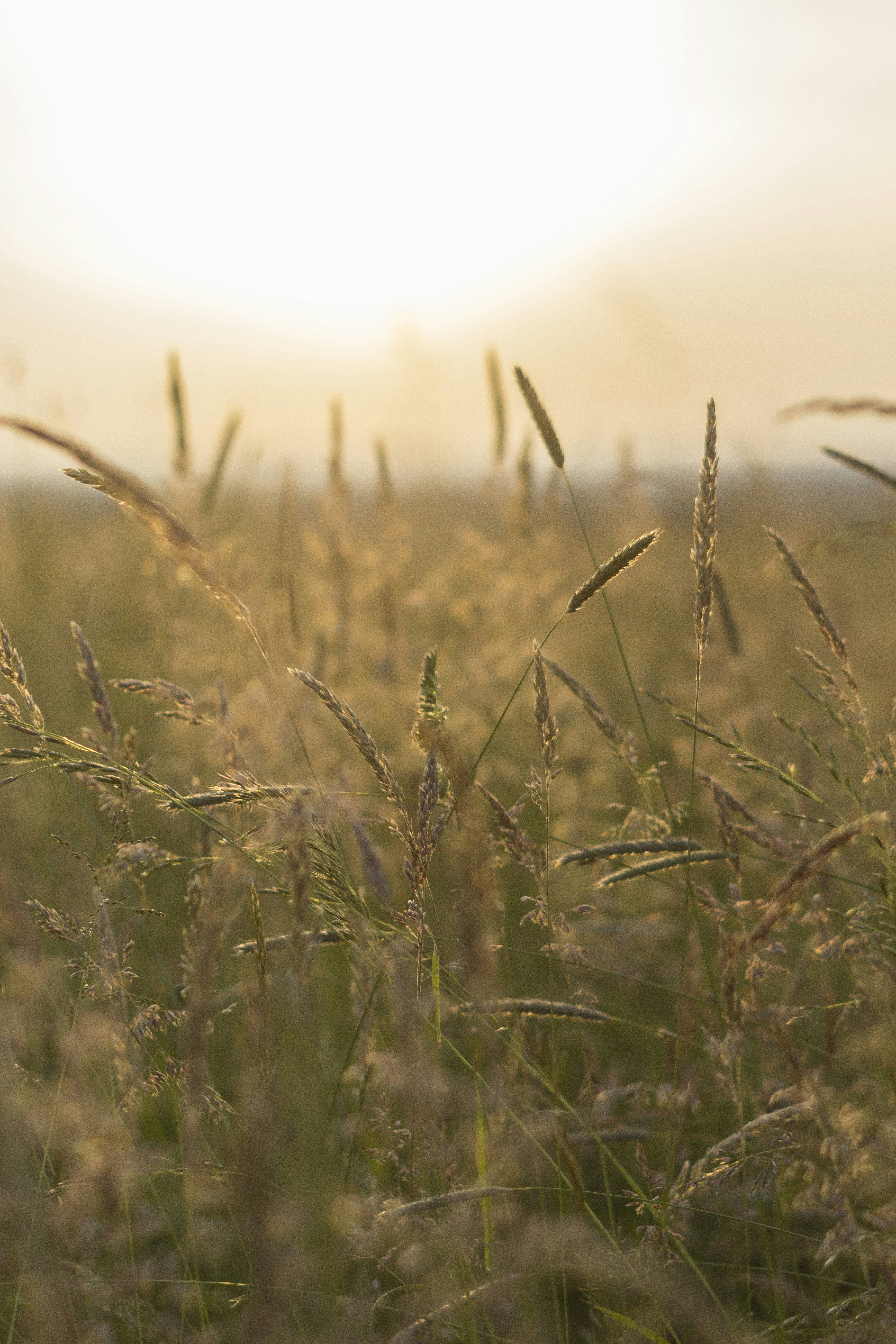 Photo by jessicaschuster