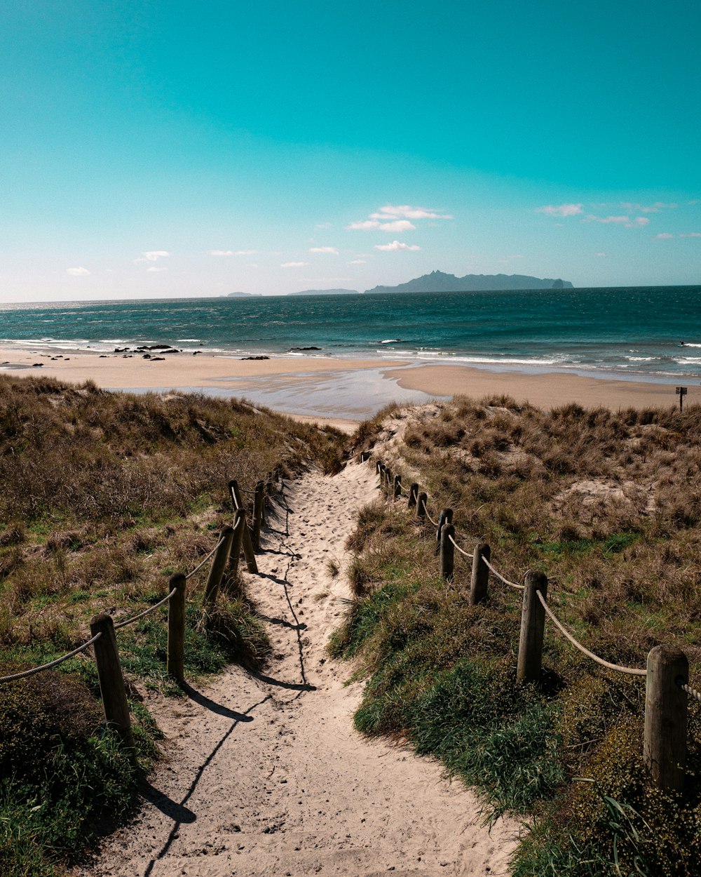 green grass on beach shore during daytime