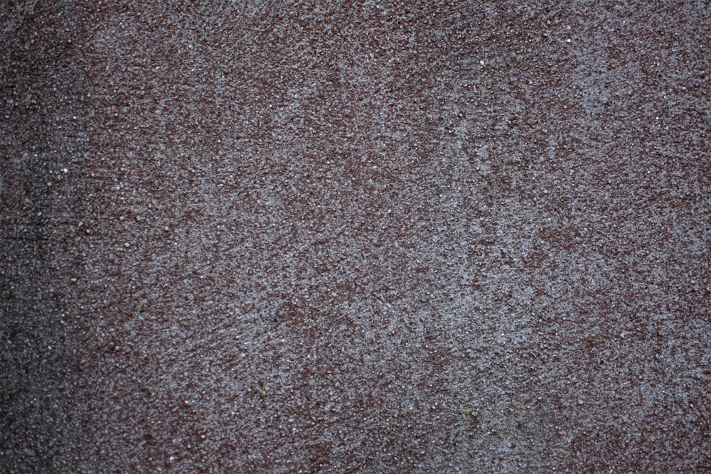 person in black shoes standing on brown carpet