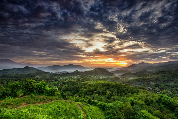 green trees and mountains under cloudy sky during daytime