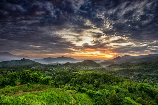 green trees and mountains under cloudy sky during daytime in Lombok Indonesia