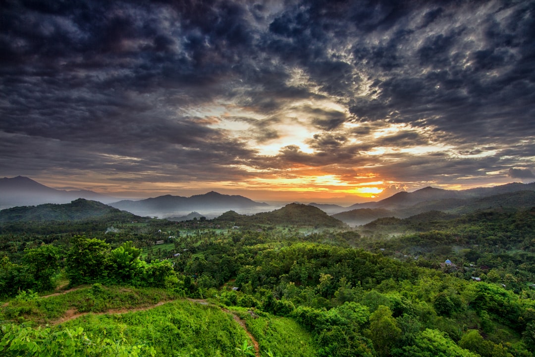 Hill station photo spot Lombok Sembalun Lawang