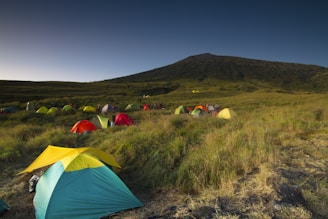 Pessoas a acampar num campo verde durante o dia