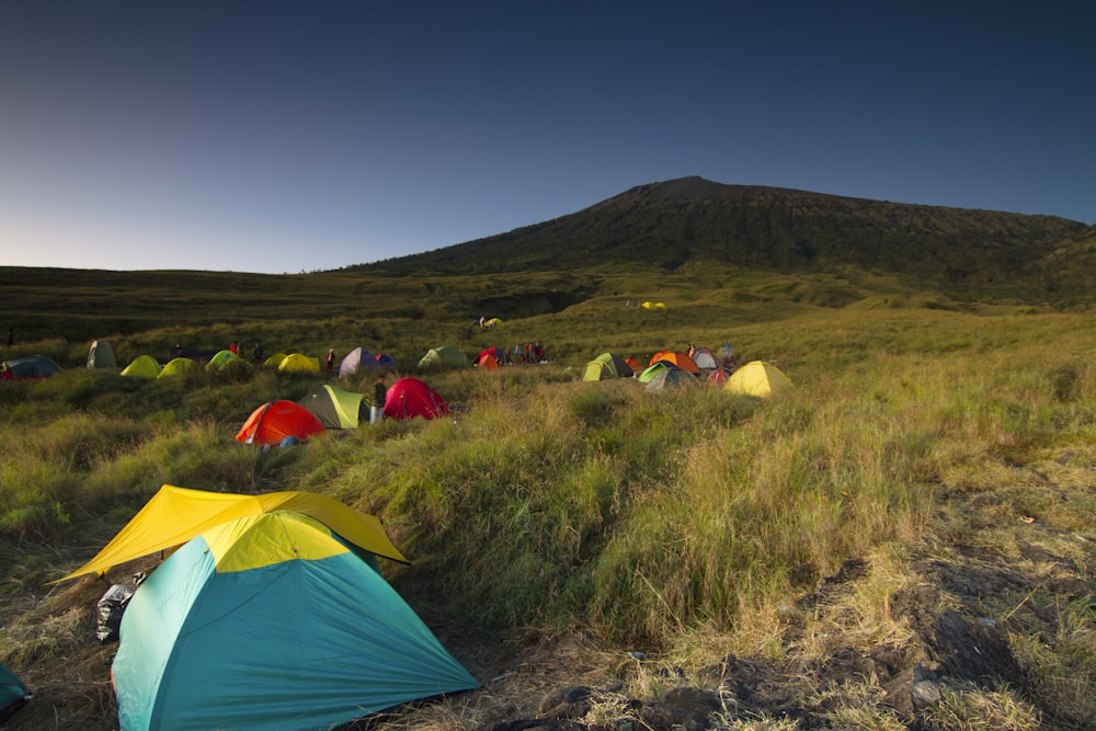 pessoas acampando no campo de grama verde durante o dia