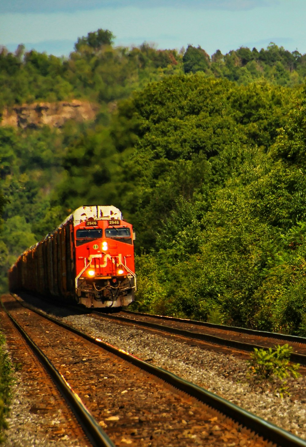 red and white train on rail tracks during daytime