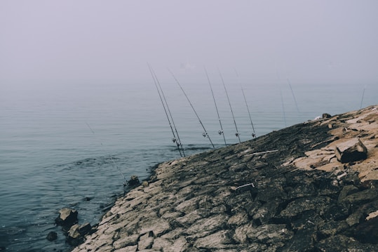 Several fishing rods are set up along a rocky shoreline extending into a misty lake. The scene conveys a calm and tranquil environment, with the water's surface barely disturbed and a hazy sky above.