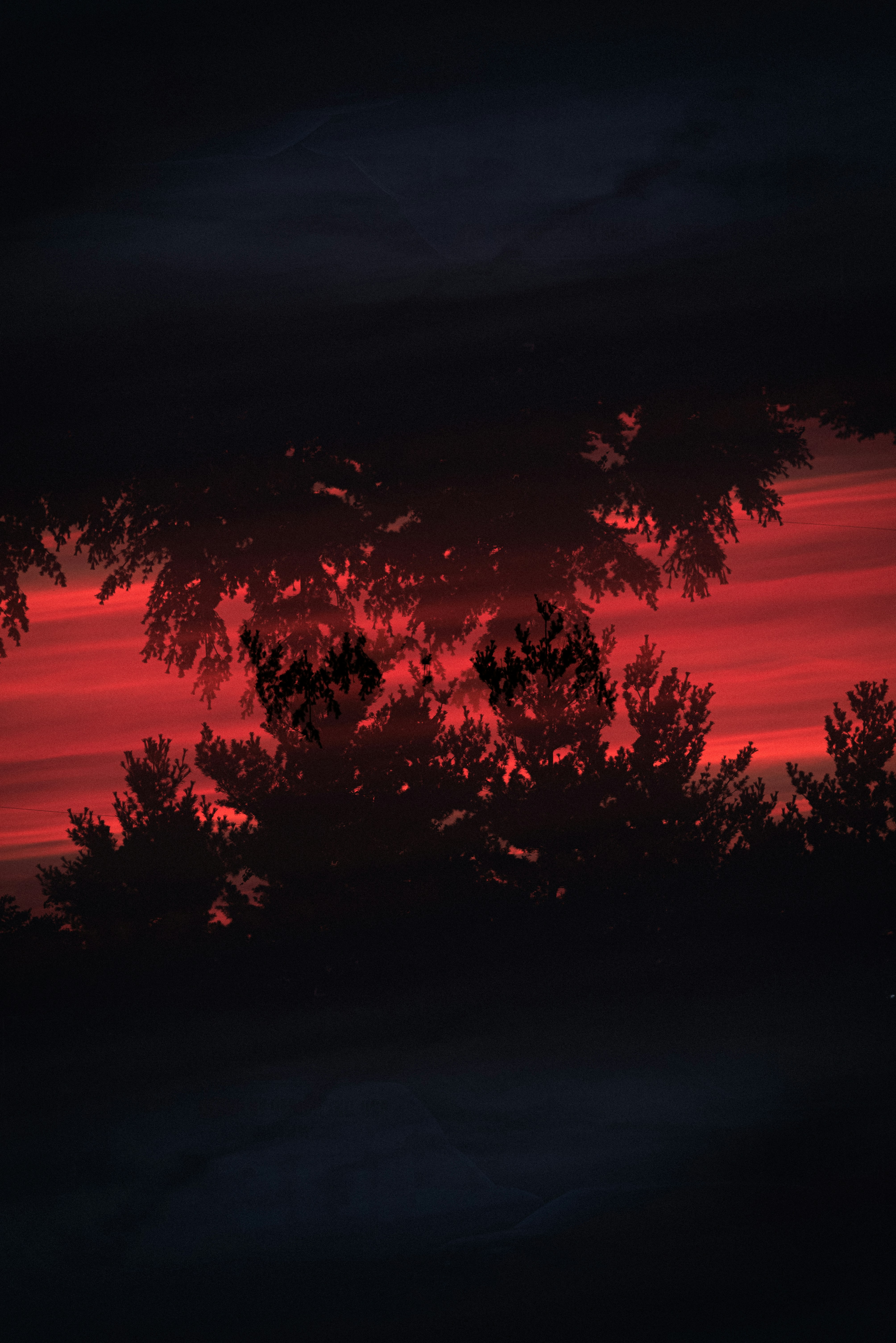 Photo by lightrisephoto