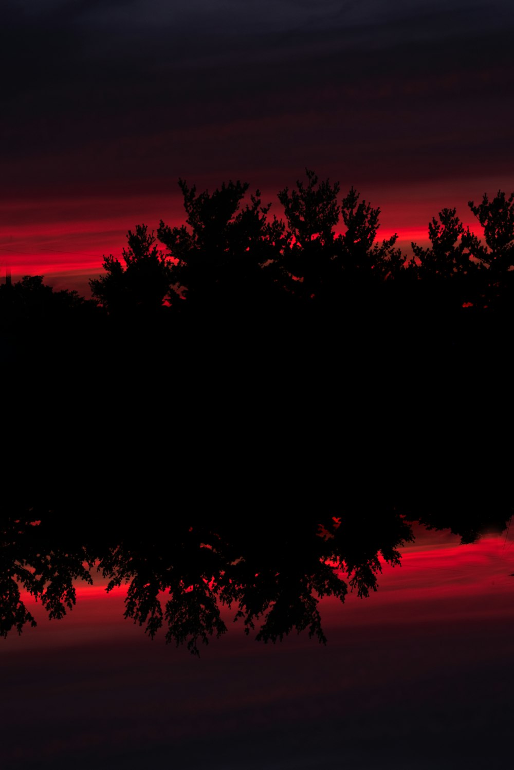silhouette of trees during sunset