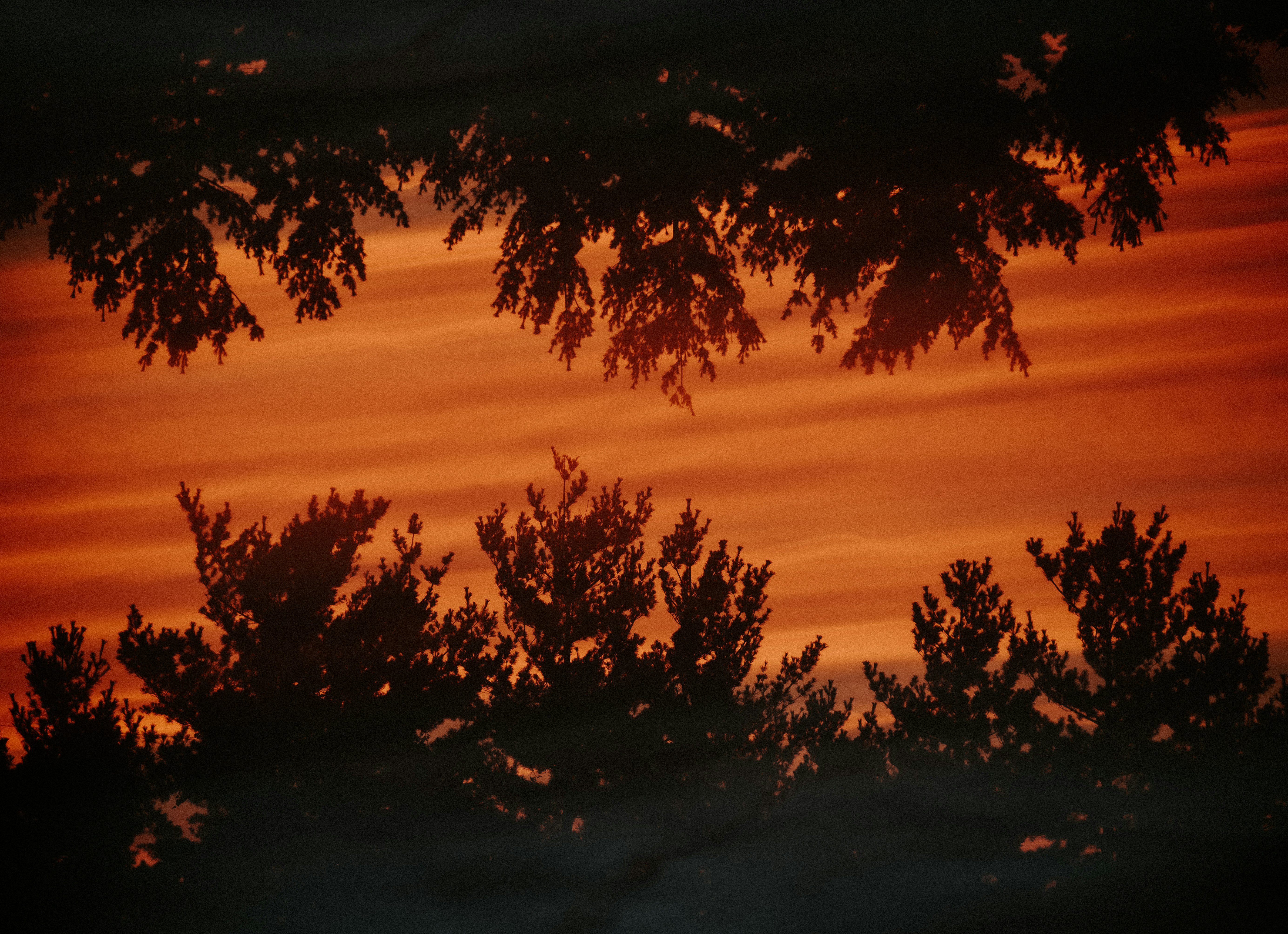 Photo by lightrisephoto