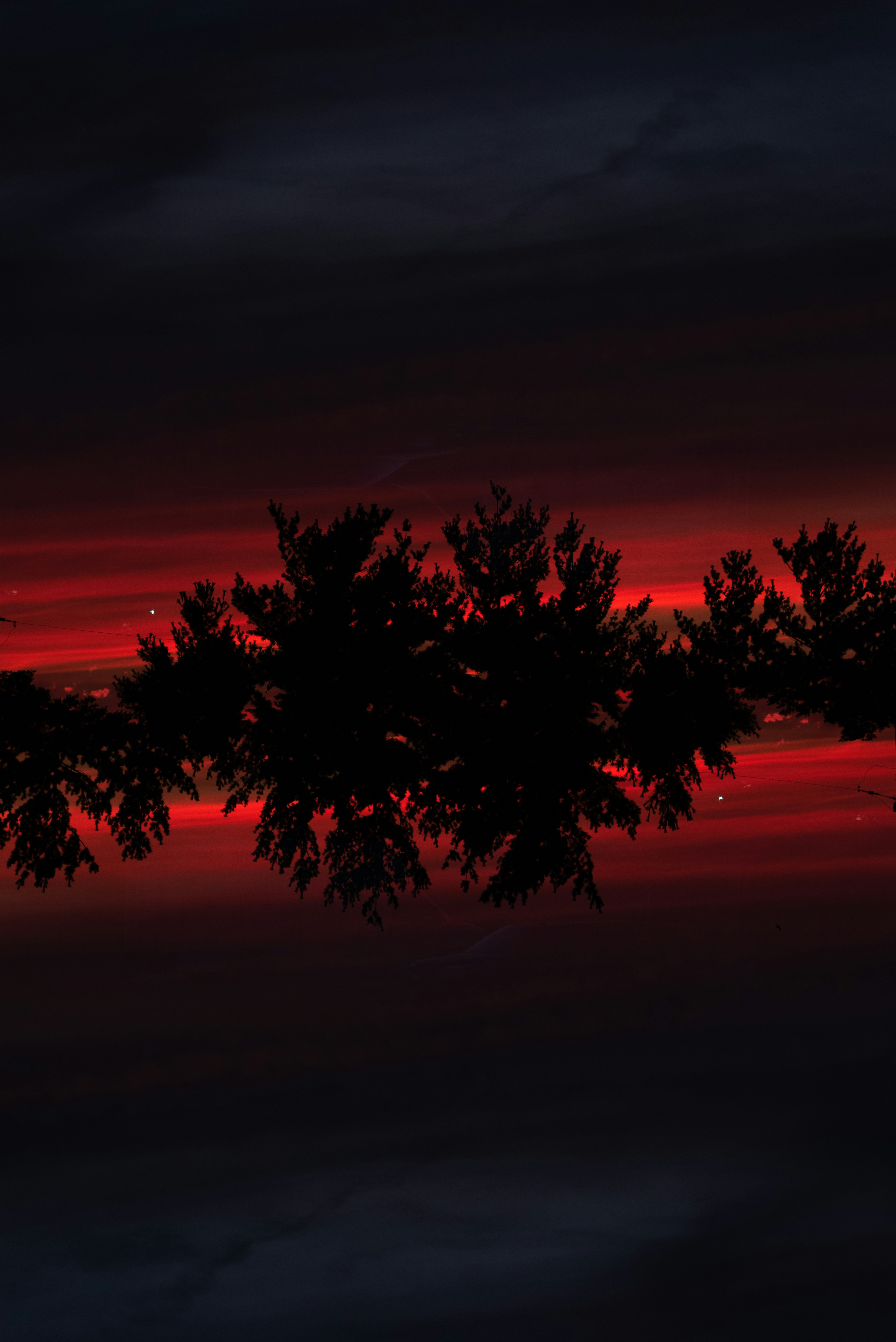 Photo by lightrisephoto