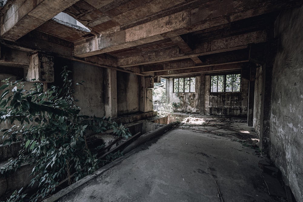 an old run down building with a tree in the corner