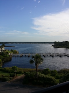 A serene waterfront landscape with palm trees and a wooden dock extending into calm waters.