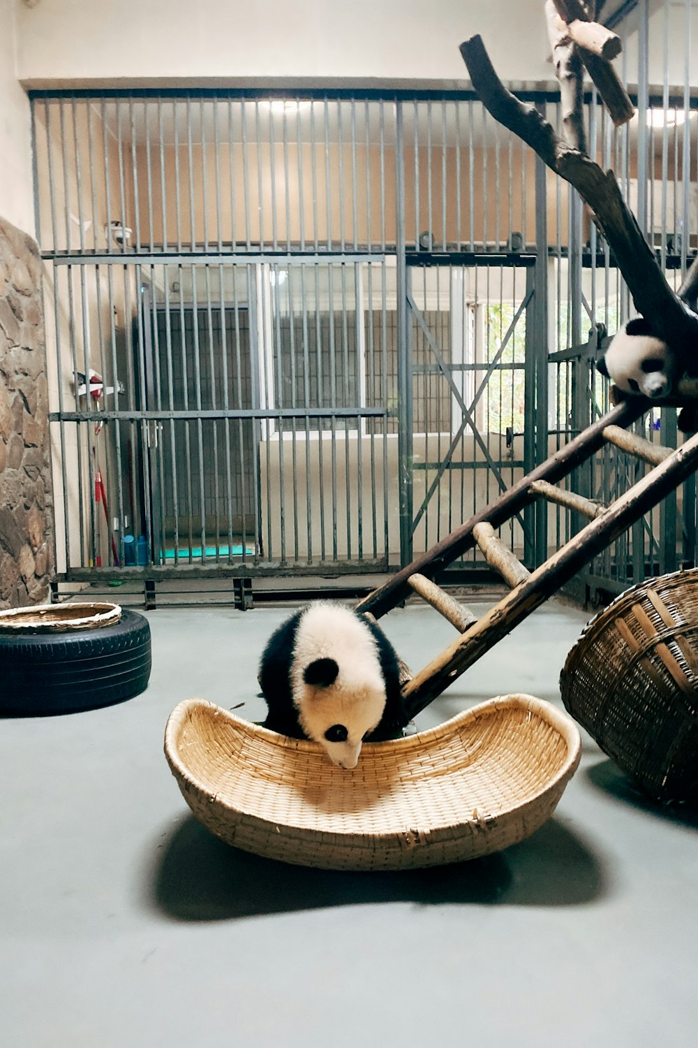 peluche panda su cesto di legno marrone