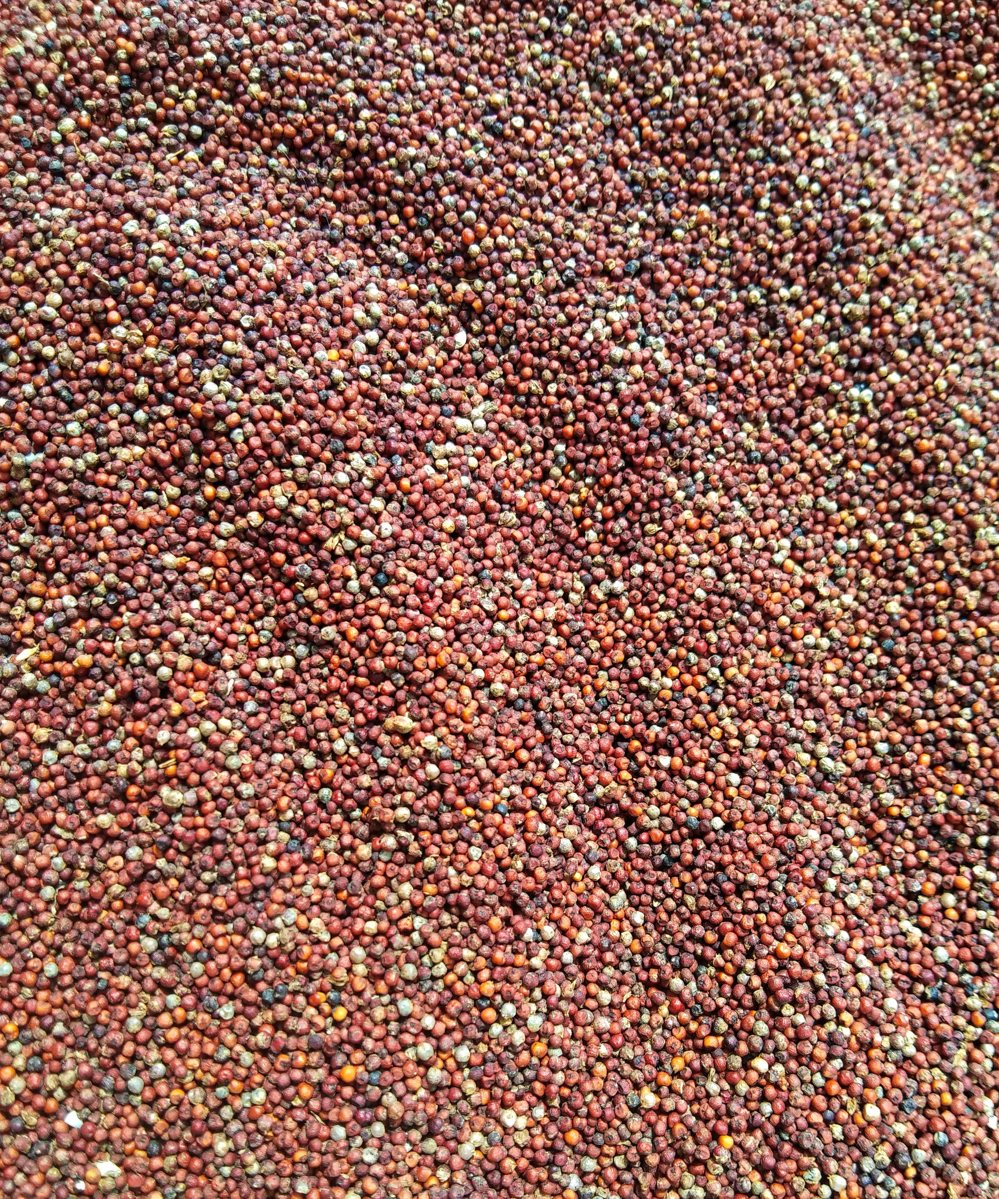 brown and black area rug