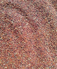 brown and black area rug