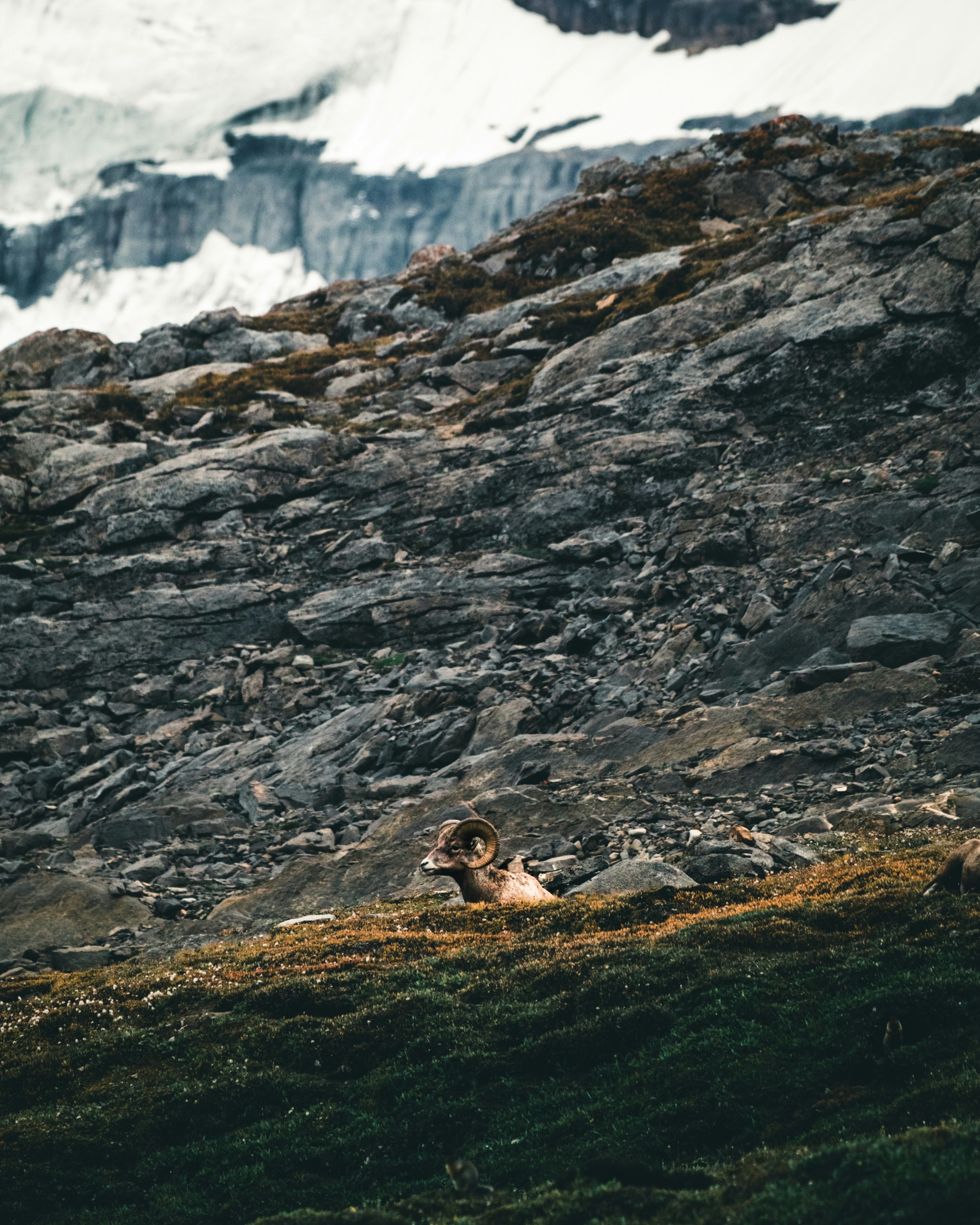 Photo by lureofadventure