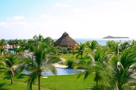 A tropical resort setting with lush green palm trees surrounding a pool area. A thatched-roof hut is visible in the center, with the serene ocean and small islands in the background under a clear blue sky.