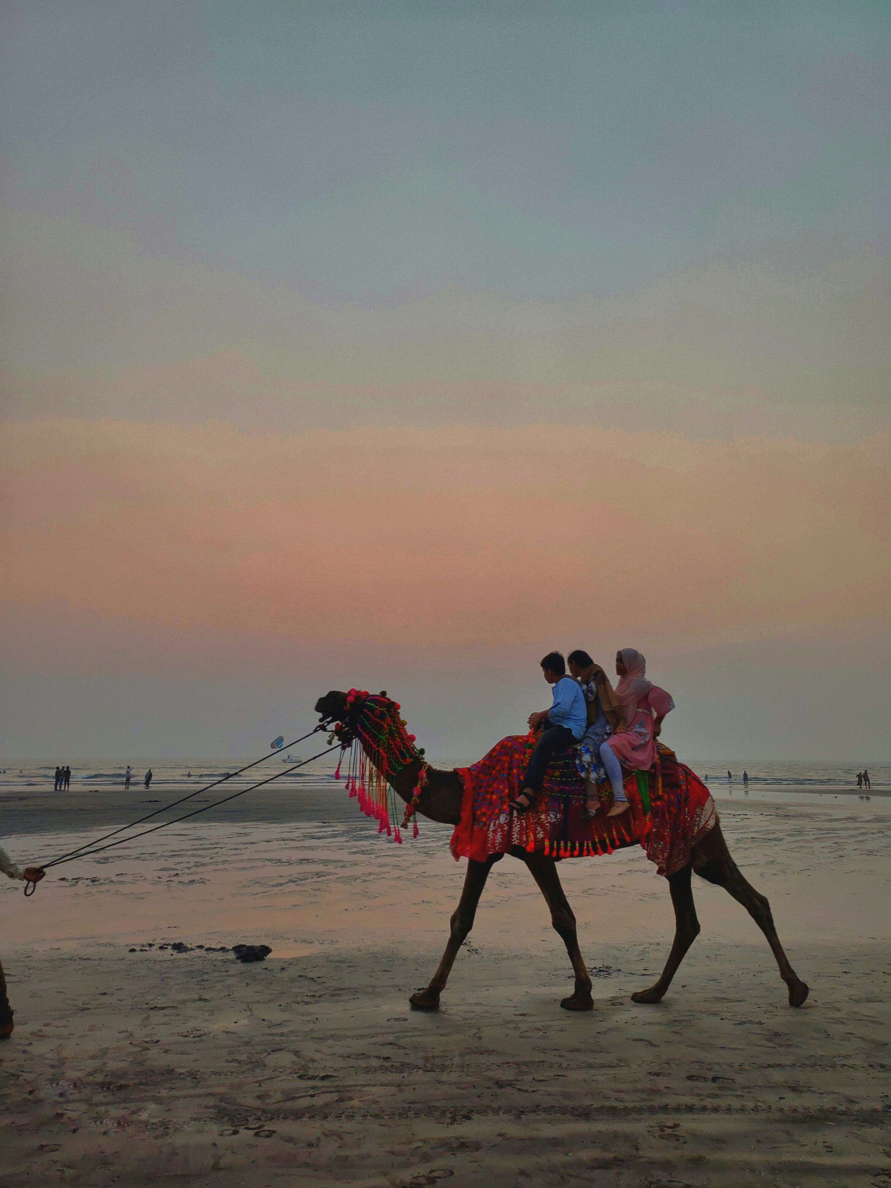 Camel ride on Moroccan beach Atlantic coast sunset golden sand timeless tradition